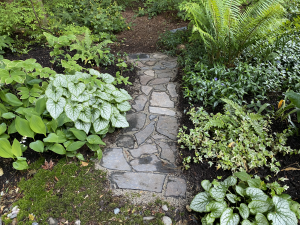 DH Green Scapes is committed to delivering excellence, creativity, and results you’ll love for years to come.