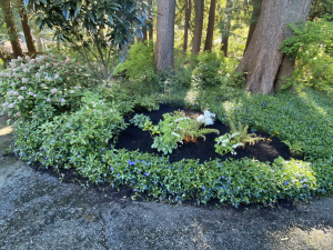 DH green scapes know that when it comes to landscaping, there’s so much more to it than just planting a few flowers or mowing the lawn. A well-designed garden requires vision, expertise, and the time to bring it all together.